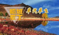 稻城亞丁、新都橋純玩五日游-單汽單飛